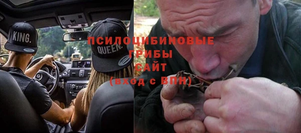 гашик Покровск