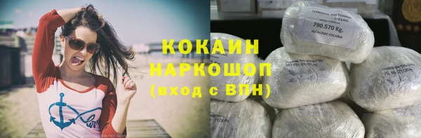 молекула духа Покров