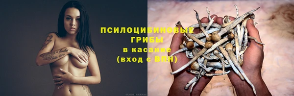 гашик Покровск