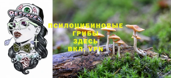 молекула духа Покров