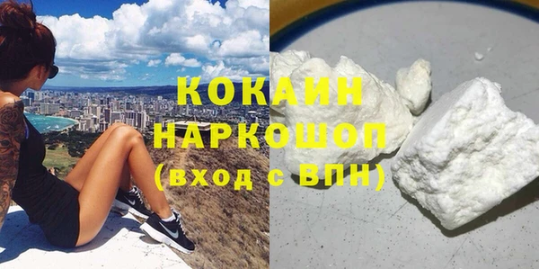молекула духа Покров