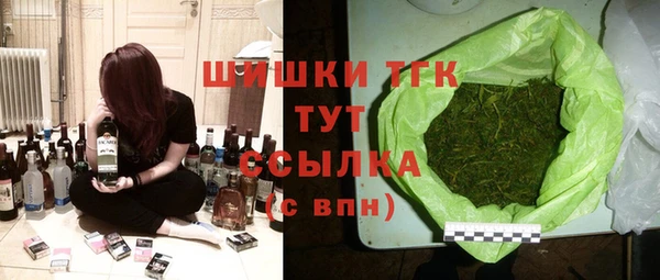 молекула духа Покров